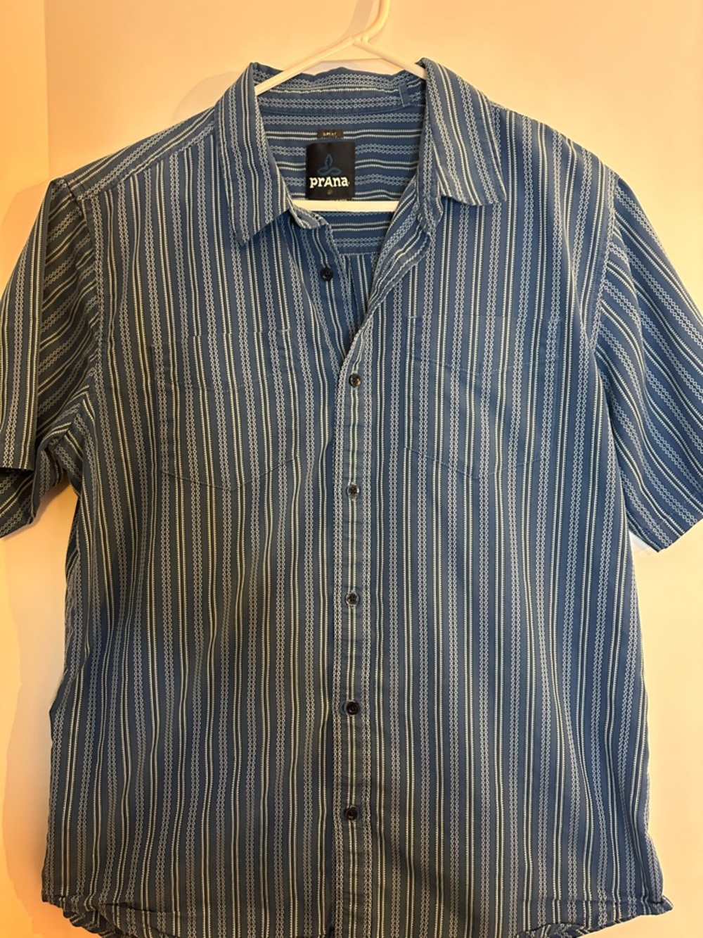 Prana Blue Vertical-Stripe Short-Sleeve Button-Down Shirt